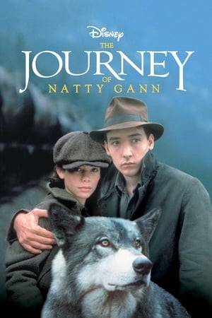 America is in the depths of the Great Depression. Families drift apart when faraway jobs beckon. A courageous young girl confronts overwhelming odds when she embarks on a cross-country search for her father. During her odyssey, she forms a close bond with two diverse traveling companions: a magnificent, protective wolf, and a hardened drifter.