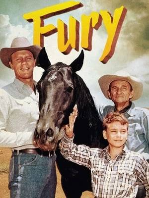 Fury is an American western television series that aired on NBC from 1955 to1960. It stars Peter Graves as Jim Newton, who operates the Broken Wheel Ranch in California; Bobby Diamond as Jim's adopted son, Joey Clark Newton, and William Fawcett as ranch hand Pete Wilkey. Roger Mobley co-starred in the two final seasons as Homer "Packy" Lambert, a friend of Joey's.

The frequent introduction to the show depicts the beloved stallion running inside the corral and approaching the camera as the announcer reads: "FURY!..The story of a horse..and a boy who loves him." Fury is the first American series produced originally by Television Programs of America and later by the British-based company ITC Entertainment.