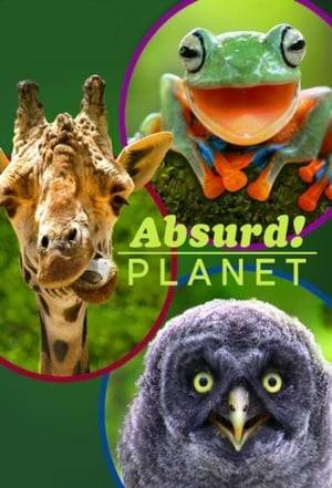 A cast of quirky critters and Mother Nature herself narrate this funny science series, which peeks into the lives of Earth's most incredible animals.