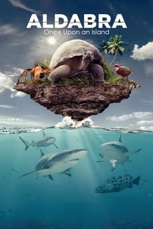 Impressive family film offers a unique stories of the wonderful animals who inhabit the Aldabra atoll, were born here, create communities, give birth to young and struggle for their survival.