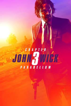 Super-assassin John Wick returns with a $14 million price tag on his head and an army of bounty-hunting killers on his trail. After killing a member of the shadowy international assassin’s guild, the High Table, John Wick is excommunicado, but the world’s most ruthless hit men and women await his every turn.