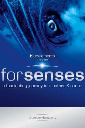 Forsenes  A symphony for eyes and ears: Forsenses it the first installment of the Blu-ray Disc series blu::elements that brings to life the full optical and acoustic potential of HD Definition.  This ambitious project combined fascinating HD-shoots of the elements - water, earth, air and fire - with a specially composed 3D surround chill-out soundtrack, to make this an audiovisual symphony for the senses.