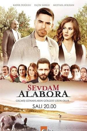 The daughter of a wealthy and respected family in Anatolia runs away from home when she falls in love with someone the family does not approve. This escape turns into a big drama that will affect the whole family, the secrets to be kept for years, the sins to be committed and the generations.