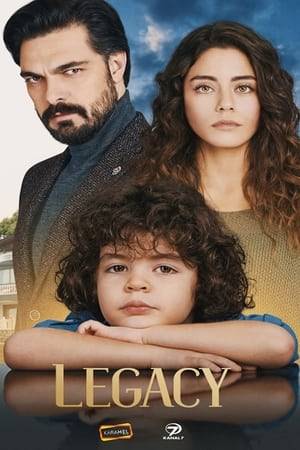 The story of Yaman, a successful businessman who is incapable of love because of his traumatic childhood. There is only one person that he feels something for, his young nephew Yusuf. When Yusuf's mother dies unexpectedly, his aunt Seher, a beautiful, courageous young woman, moves into the family mansion to take care of him.