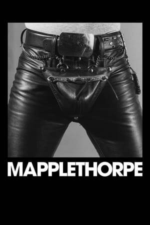A look at the life of photographer Robert Mapplethorpe from his rise to fame in the 1970s to his untimely death in 1989.