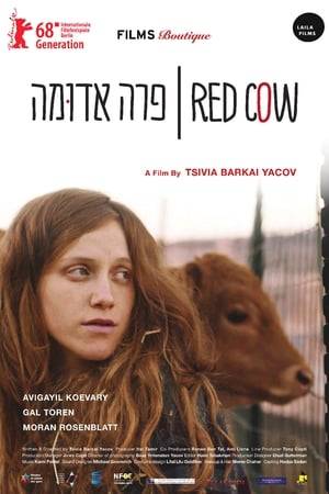Red Cow is a coming-of-age film that takes place in the days leading up to the assassination of Rabin and depicts the life of Benny, 16, orphaned from mother at birth and the only child of Joshua - a religious, right-wing extremist, in those critical junctures when she is forming her sexual, religious and political awareness.