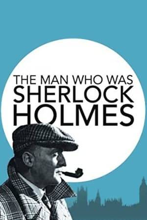 Two out-of-work private detectives disguise themselves as Holmes and Watson to gain attention and end up chasing counterfeiters and stolen stamps.