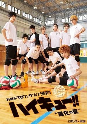 The fourth stage play adaption of Haruichi Furudate's Haikyū!! series. The stage play covered the aftermath of Karasuno's loss to Aobajohsai and their subsequent training camp in Tokyo.