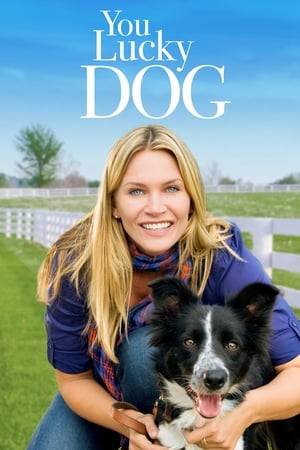 After her mother's death, New York City fashion designer Lisa Rayborn (Natasha Henstridge) returns to her hometown and family farm. Due to a weak economy, her brother Jim (Harry Hamlin) has converted the family business from a cattle farm into a sheep farm, despite their father's (Lawrence Dane) objections. To help out, Lisa decides she will stay to help on the farm. She adopts a border collie from the local animal shelter and trains it as a sheepdog, naming the dog Lucky. Jim and Lisa decide to enter Lucky into a sheep herding contest, but when a severe thunderstorm sparks a forest fire, Lucky helps rescue trapped children and bring them to safety. While doing so, Lucky gets her leg burned, and it looks as if she will not be able to compete.