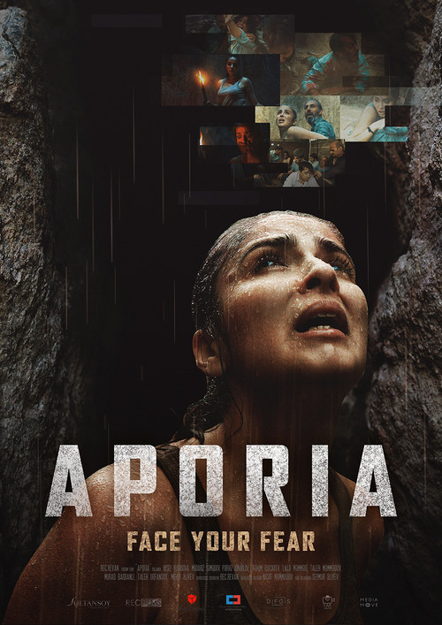 Aporia poster