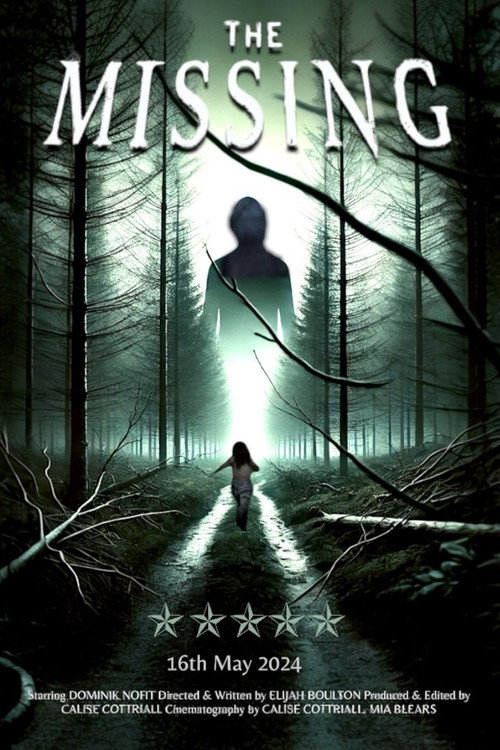 The Missing poster