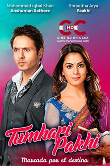 Tumhari Pakhi poster