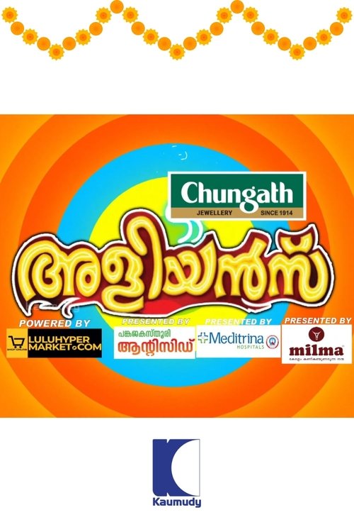 Brother-in-Laws poster