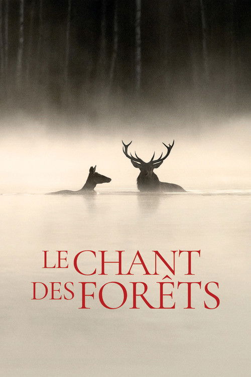 Whispers in the Woods poster