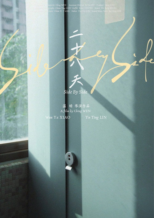 Side by Side poster