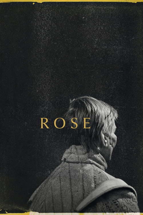 Rose poster