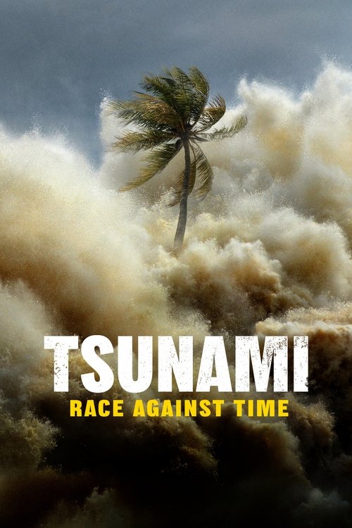 Tsunami: Race Against Time poster