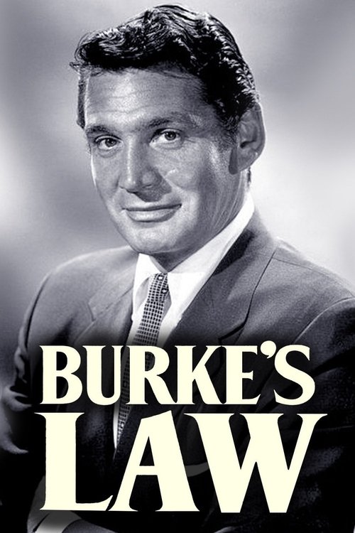 Burke's Law poster
