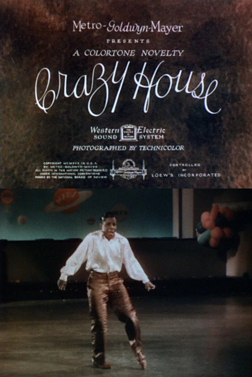Crazy House poster