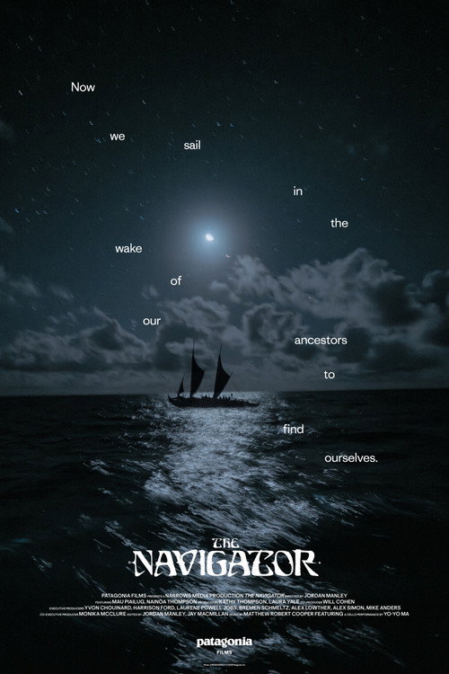 The Navigator poster