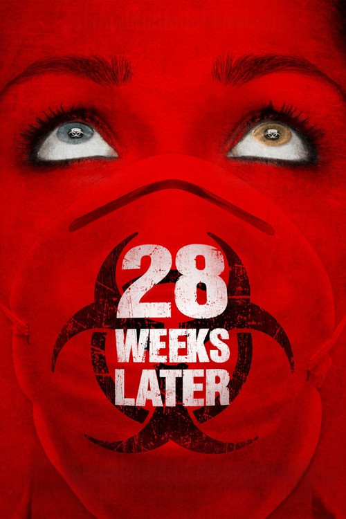 28 Weeks Later poster
