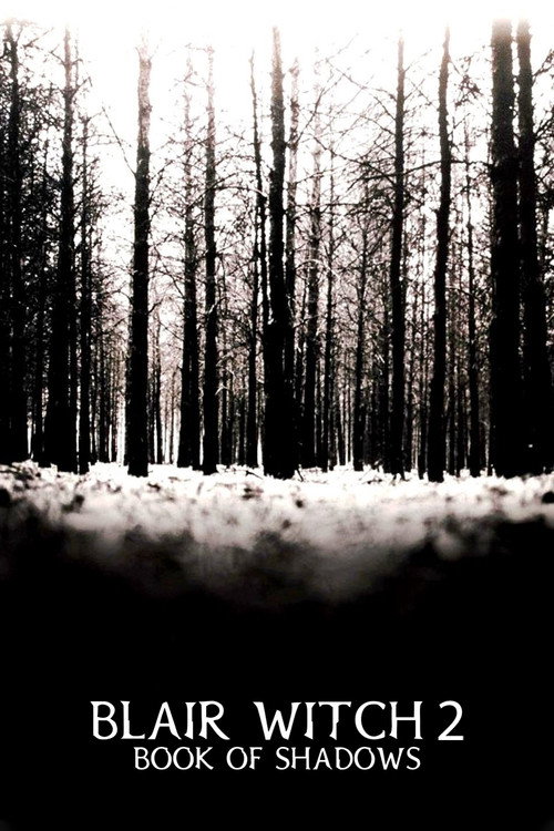 Book of Shadows: Blair Witch 2 poster