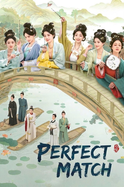 Perfect Match poster