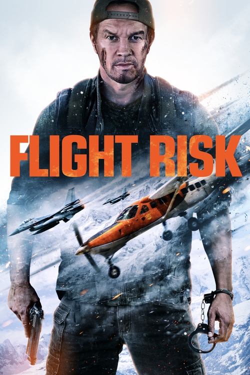 Flight Risk poster