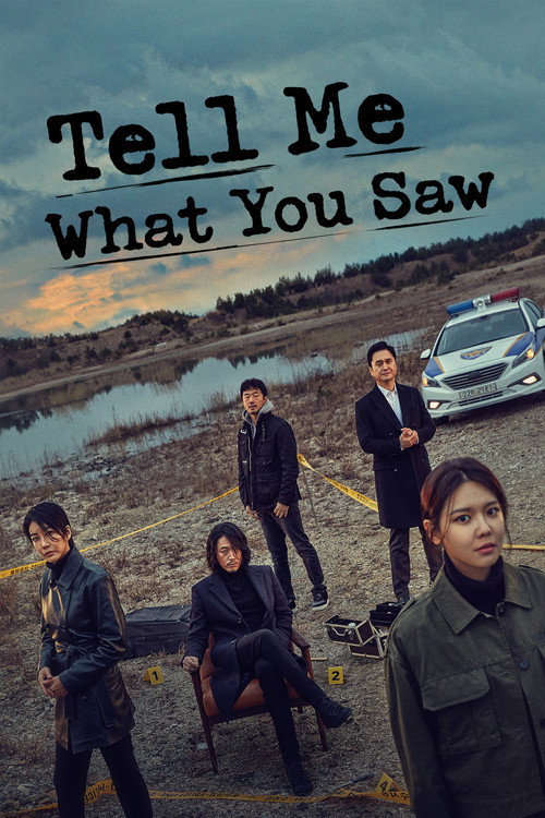 Tell Me What You Saw poster
