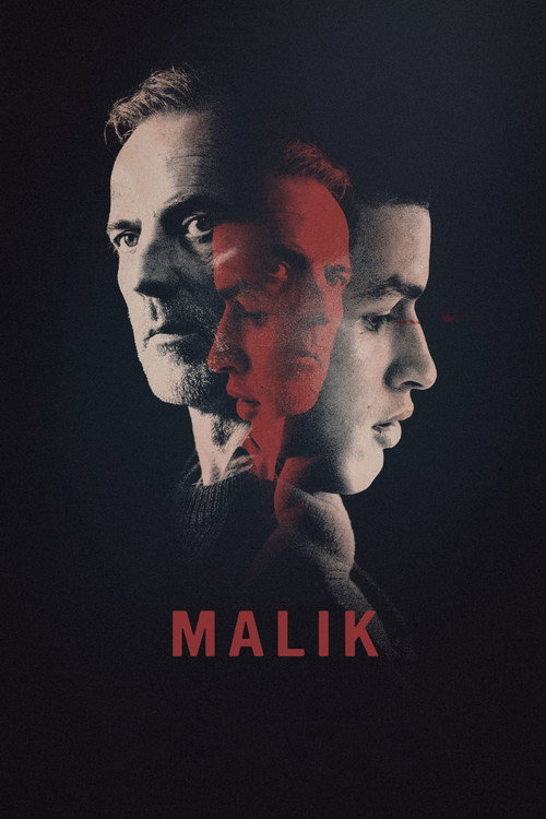 Malik poster