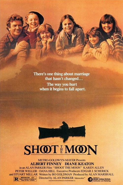 Shoot the Moon poster