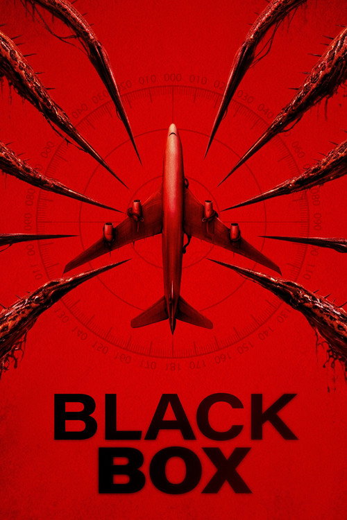 Black Box poster