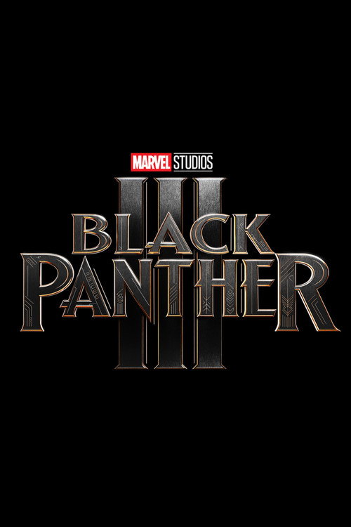 Black Panther 3 poster